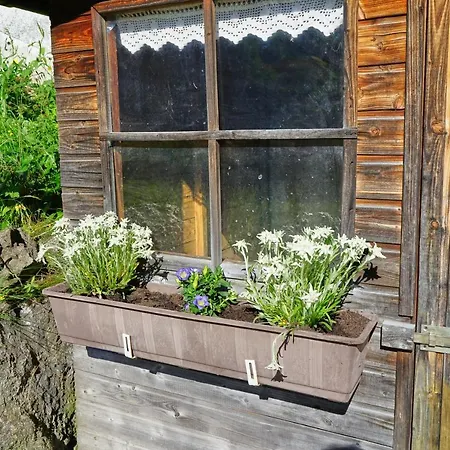 Apartment Kappeler Bad Hindelang